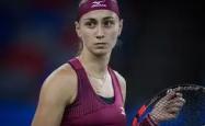NG SPORTS-科维托娃赛事官方发布问鼎冠军新规，中国队争议不断！的简单介绍