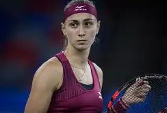 NG SPORTS-科维托娃赛事官方发布问鼎冠军新规，中国队争议不断！的简单介绍